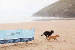 The Park banner with dogs running